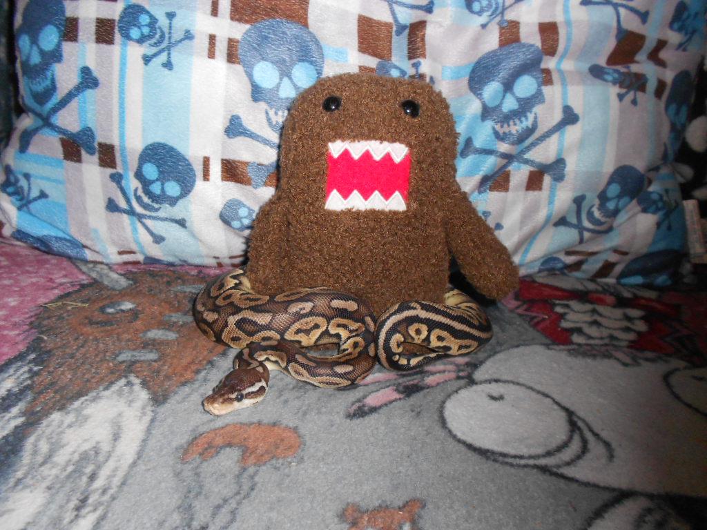 Lucy with Domo 