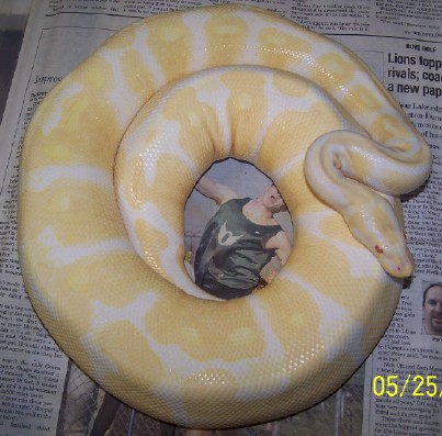 albino21days