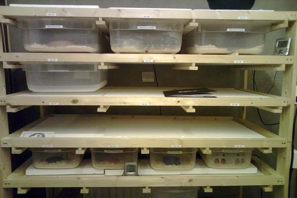 BP Rack Set Up