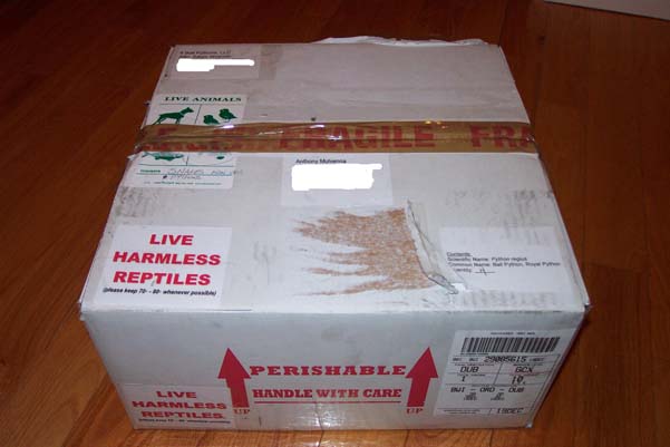 Box