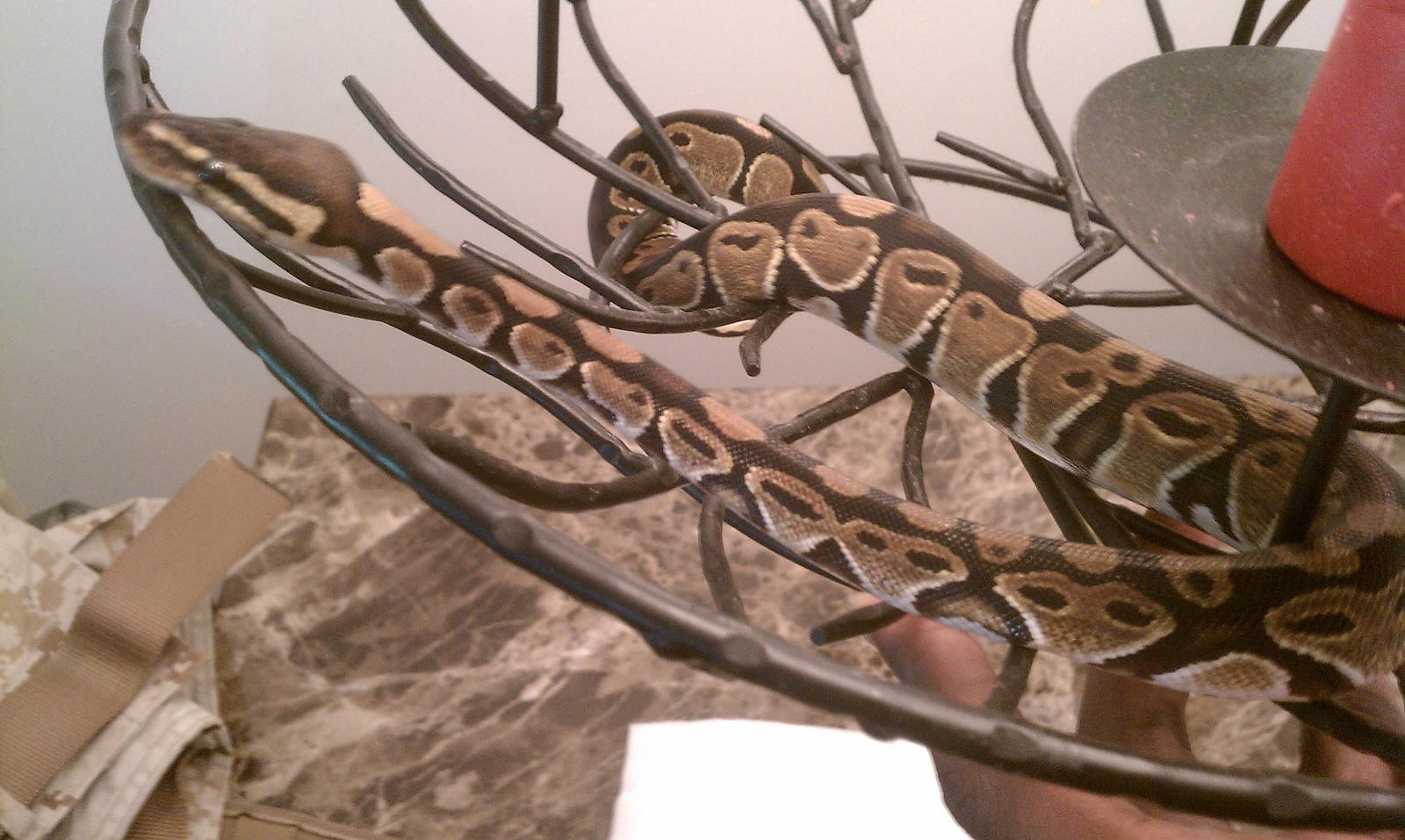 post shed