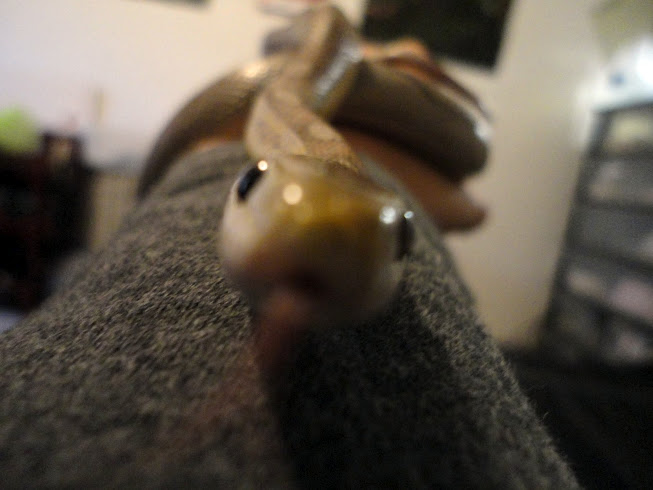 Cthulhu Face