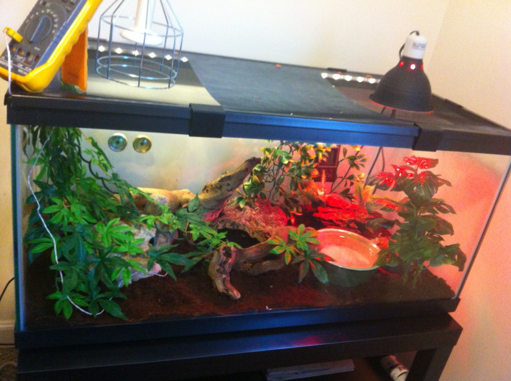 Decorated tank