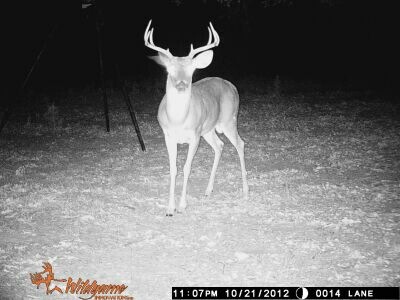hopefully my deer this year!!!