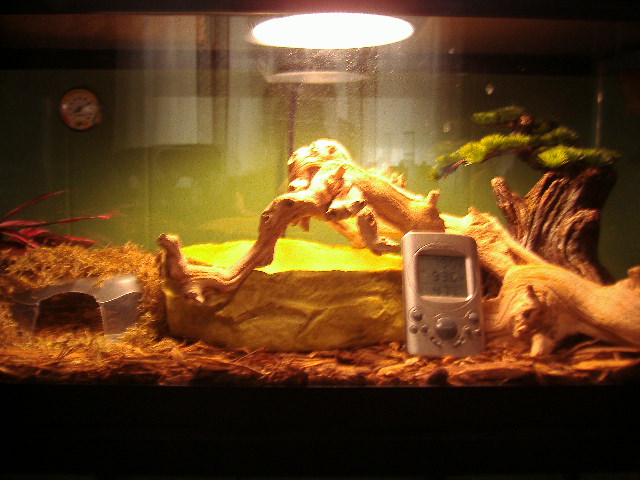 viv2-25