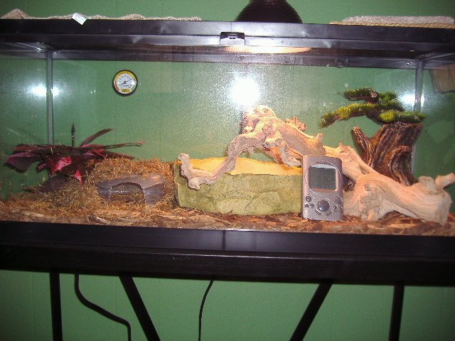 viv22-25