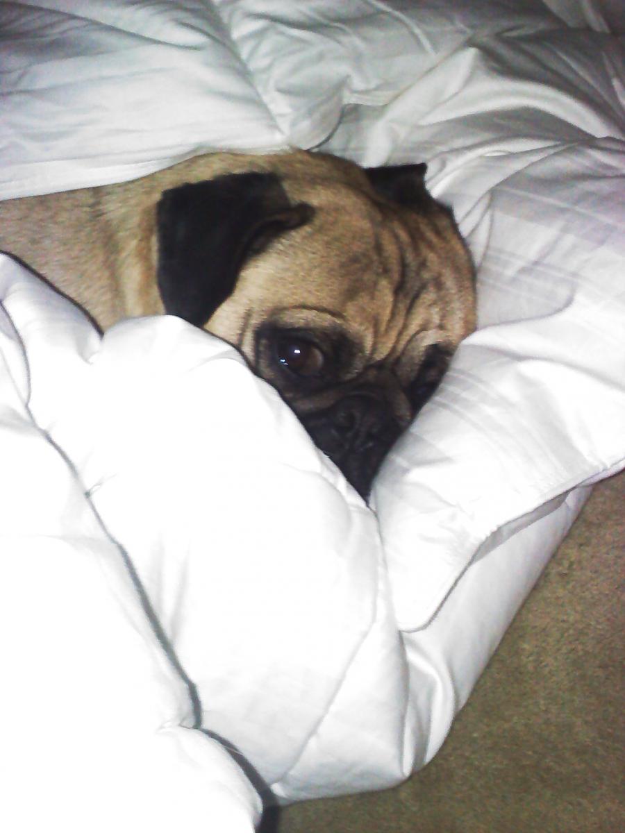 Sleepy boy..