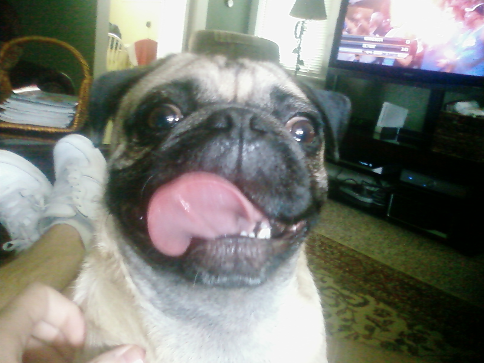 Bambam!