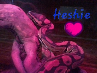 Heshie