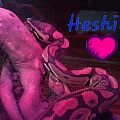 Heshie