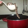 Serpent Soup