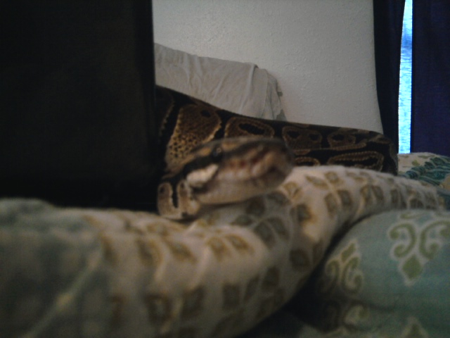 Hi, Mom!