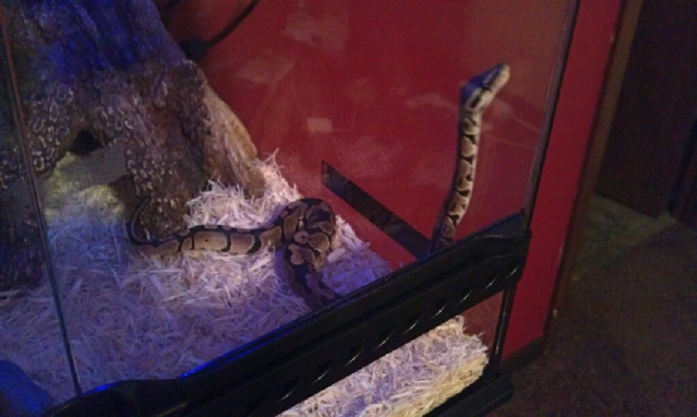 Checkin Stuff Out