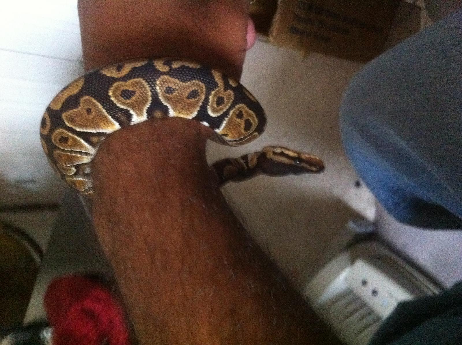 First time holding SJ