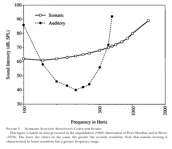 snakeAuditoryResponse