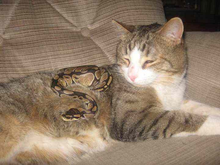 Dale and his friend's