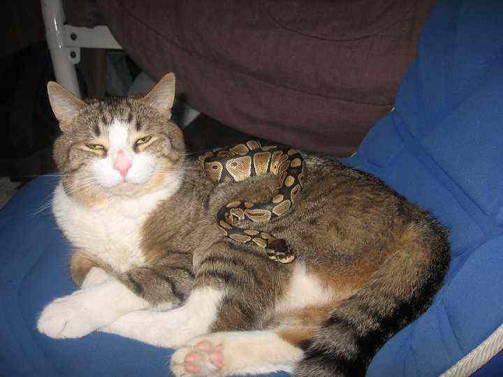 Dale and his friend's