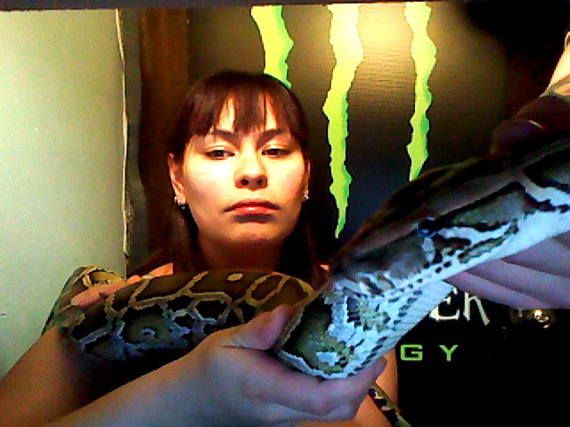 Snakes are beautiful :)
