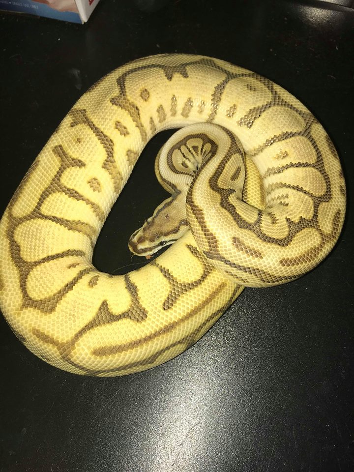 jade
