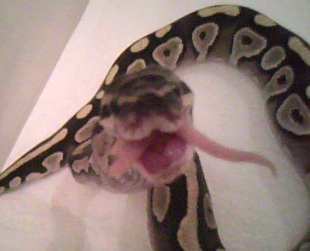 TIME TO EAT....................................