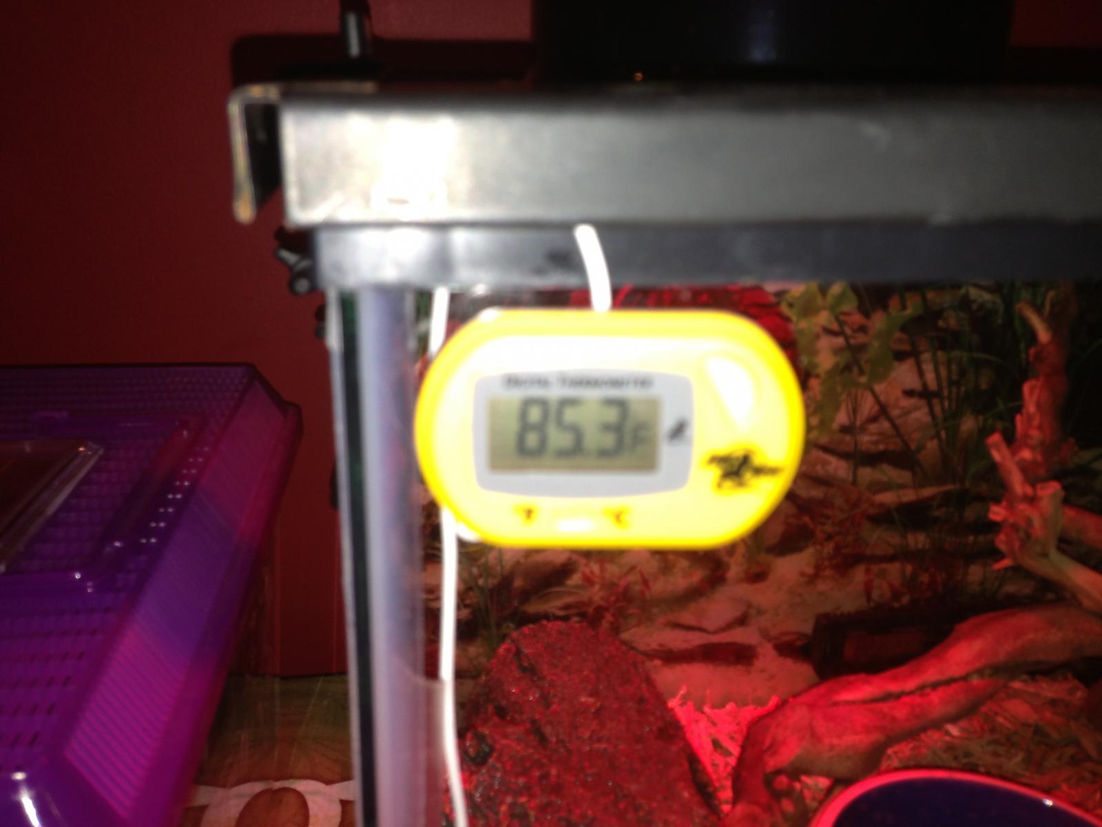 Zoo-med thermometer