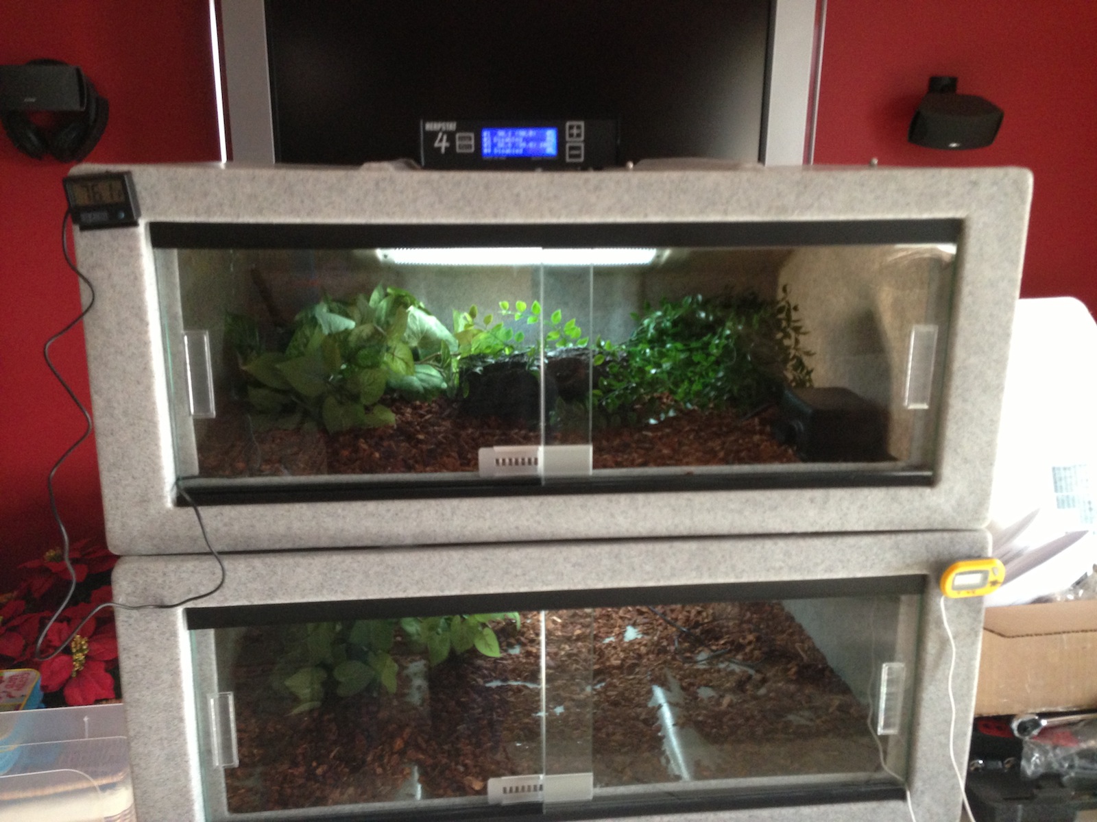 New Tank