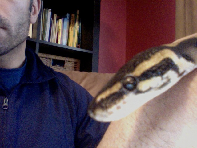blaze eye