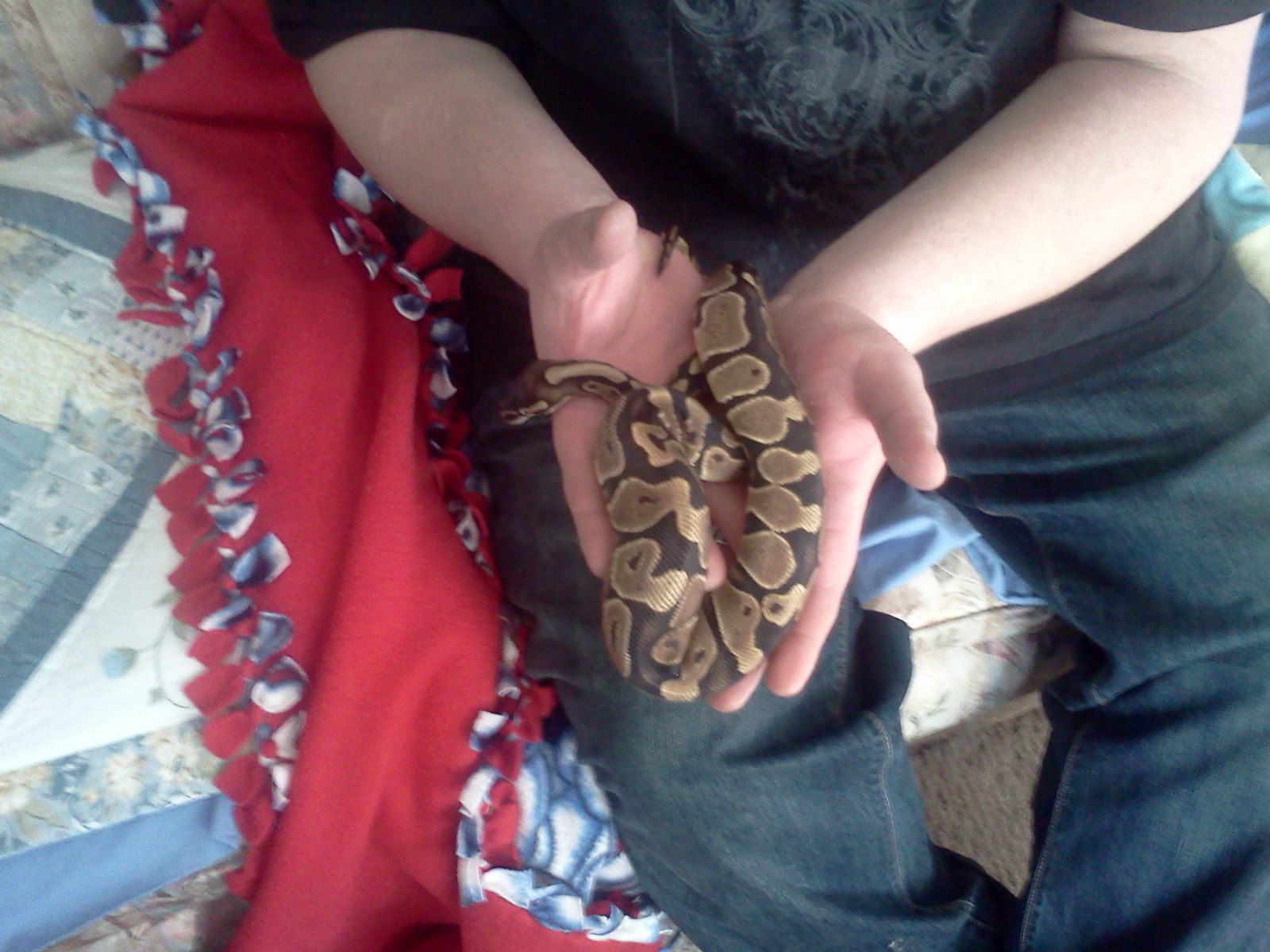 my juvenile Ball