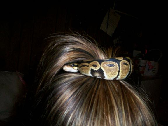 hiding?