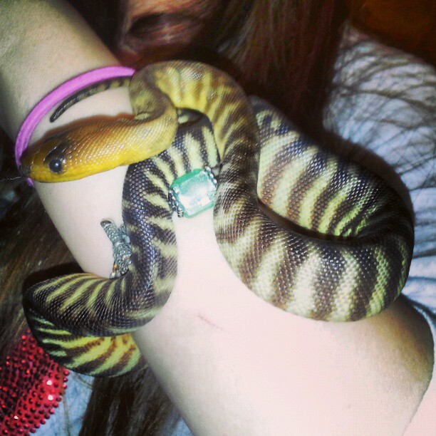 Snake Girl