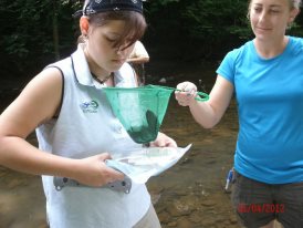 field work1