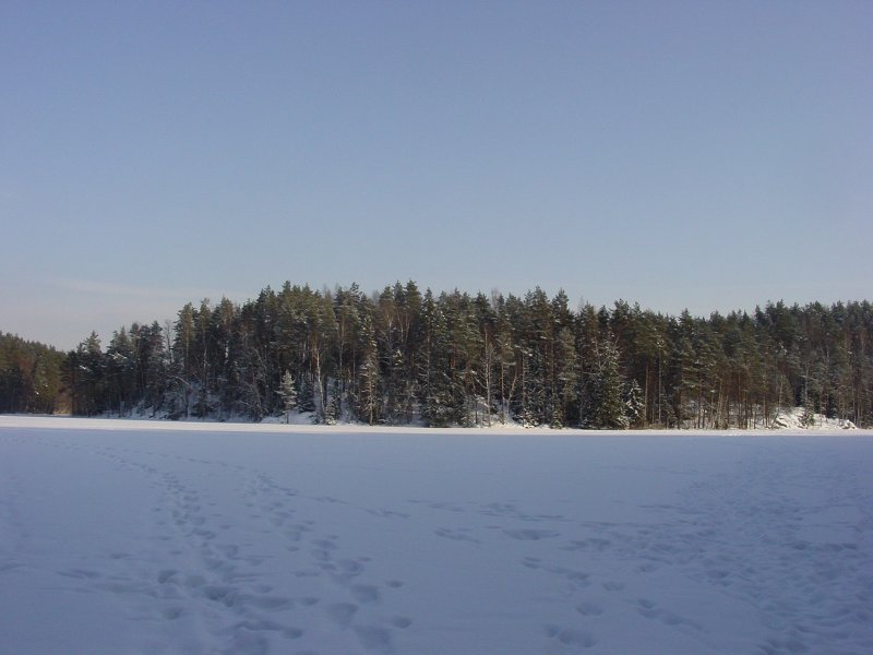 Nuuksio Winter 2