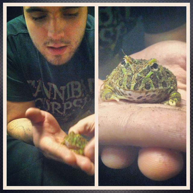shrek and i