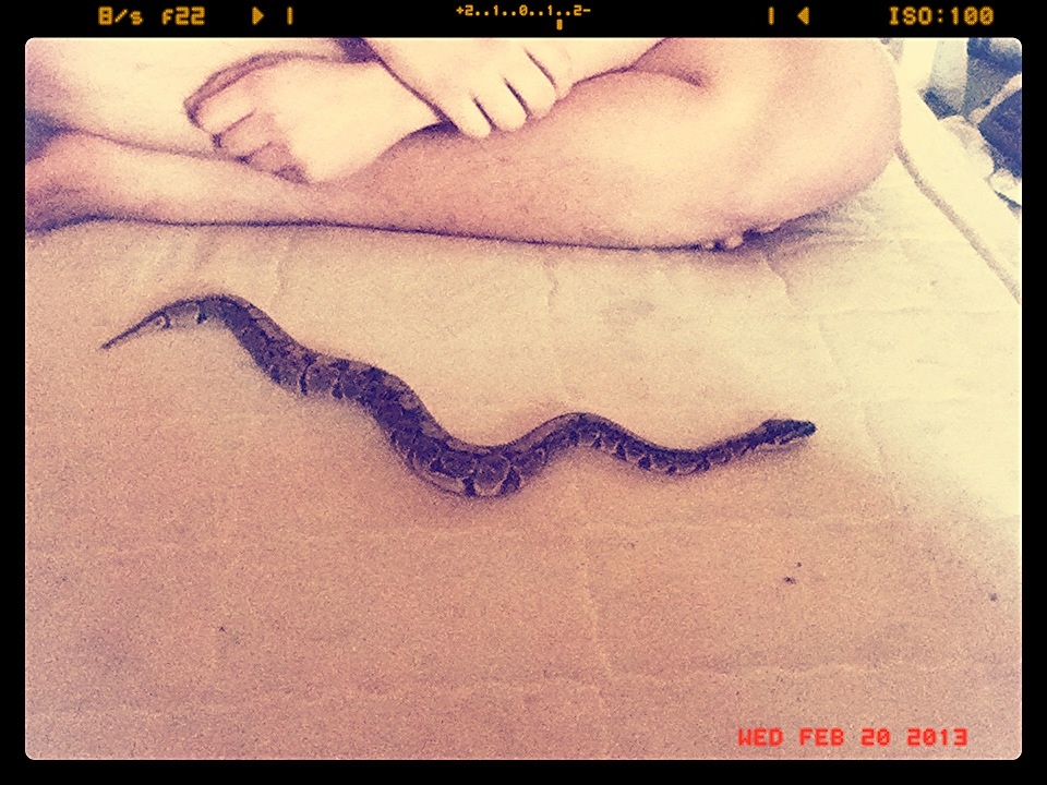 Patto before his bath!