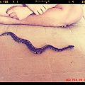Patto before his bath!