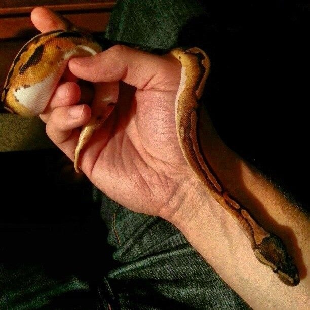 Hanging out
