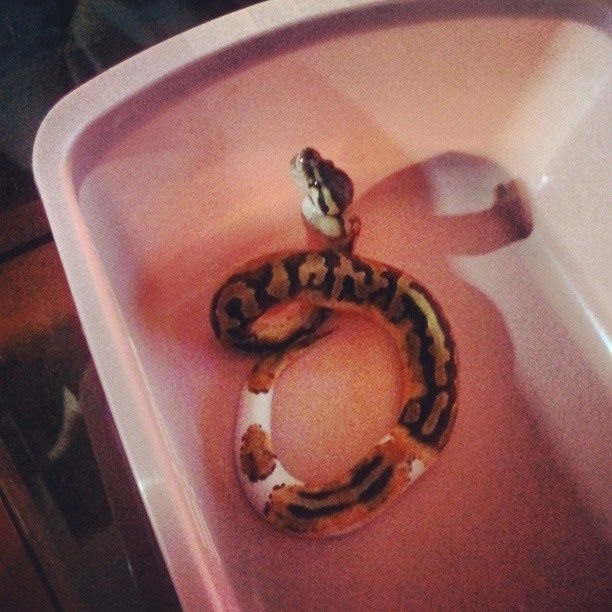 Eating