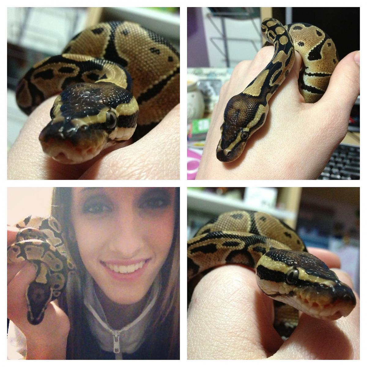 Baby Mushu ;)