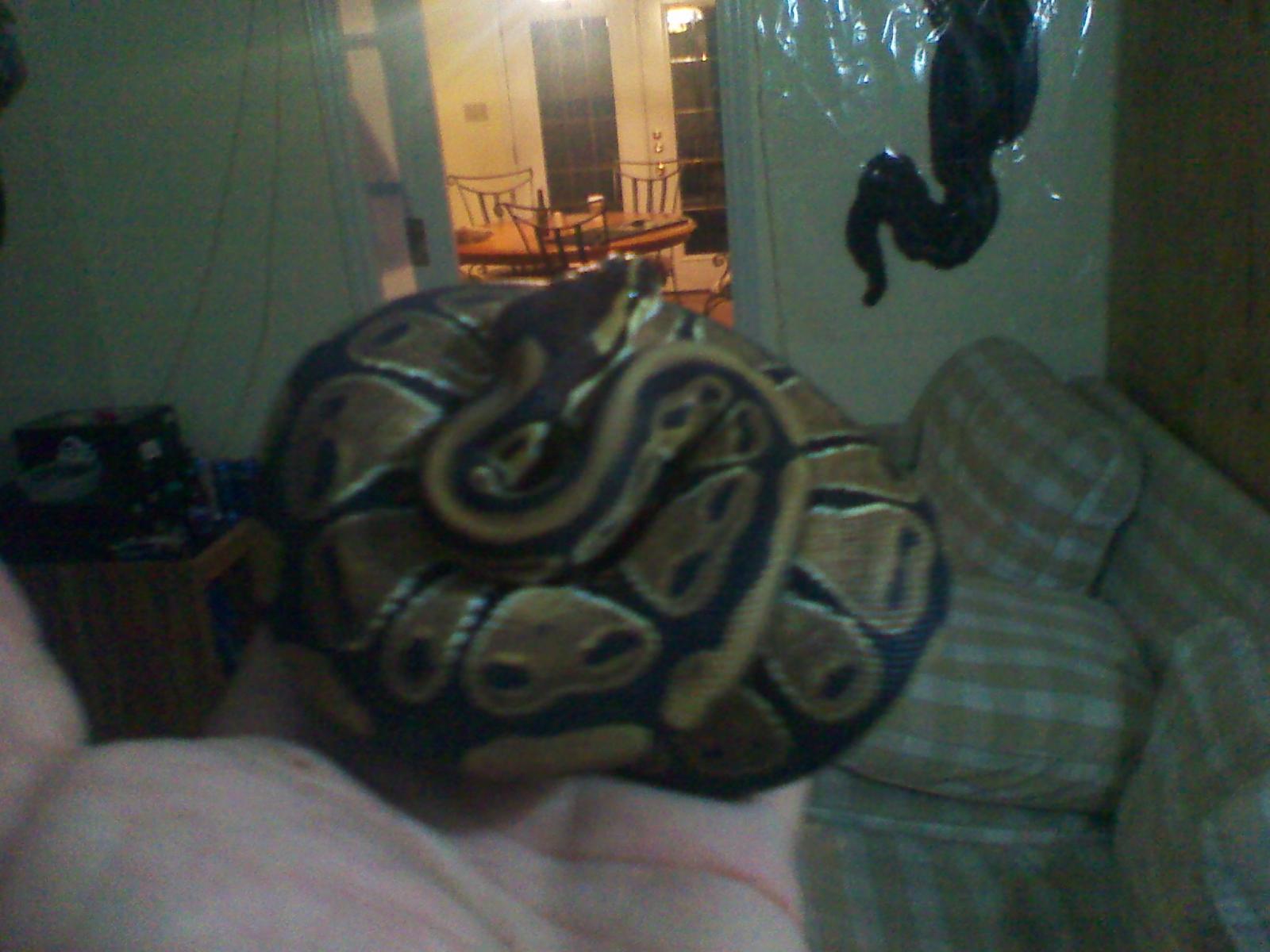 2013-03-29 20.09.40