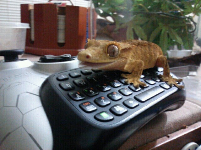 531068 555493301134709 1896438772 n
