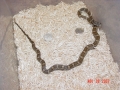 Al