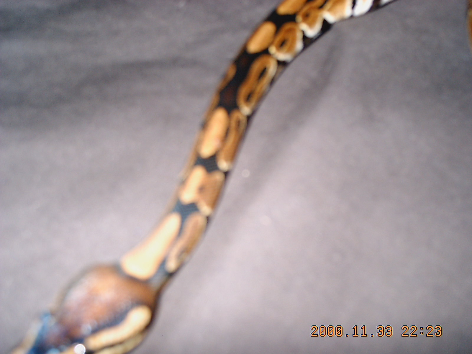 IMAG0012