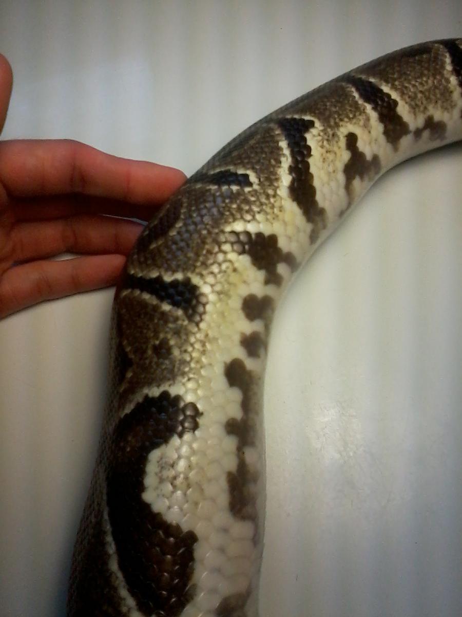 Female