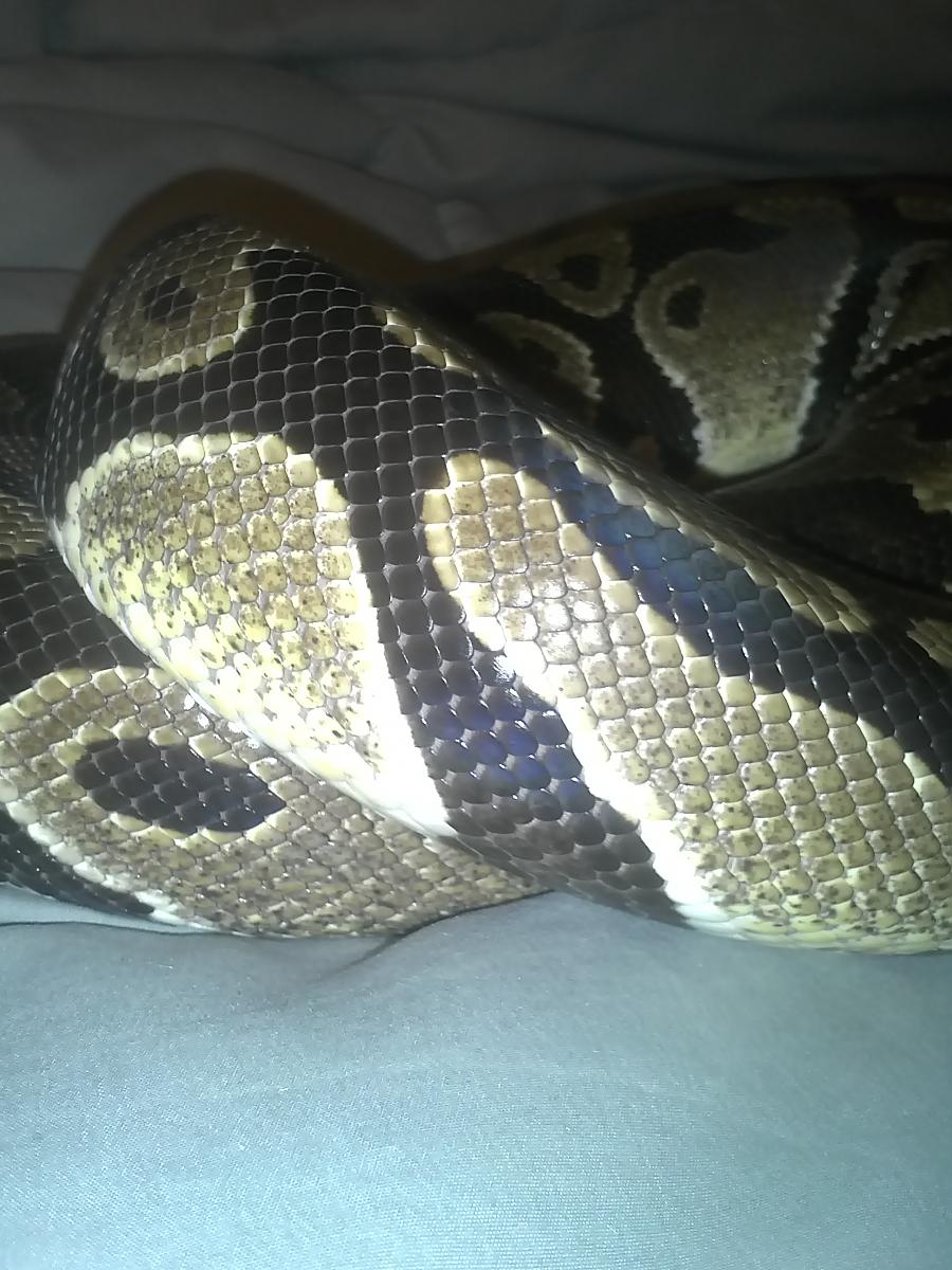 Drake Pic 7