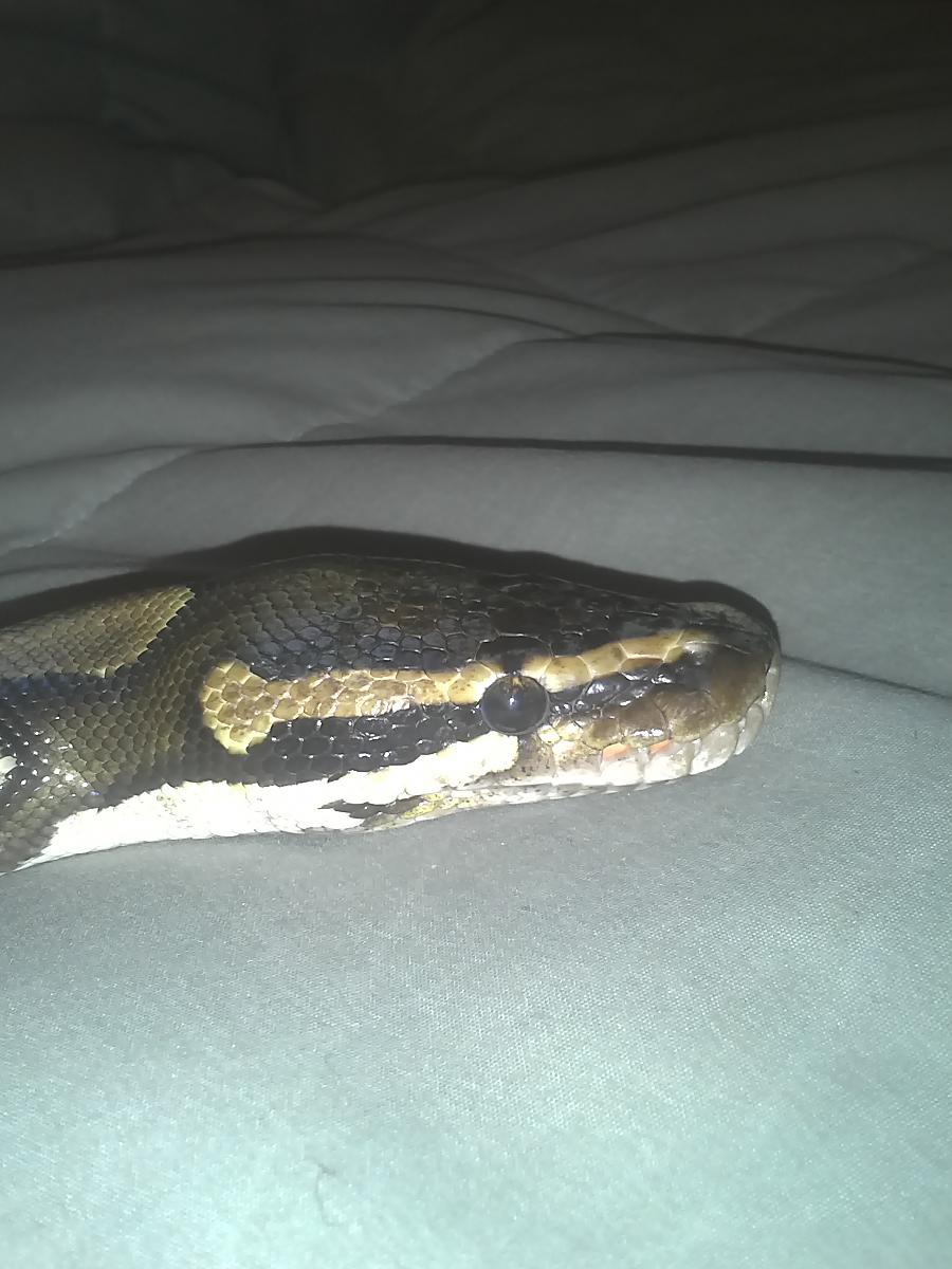 Drake Pic 6