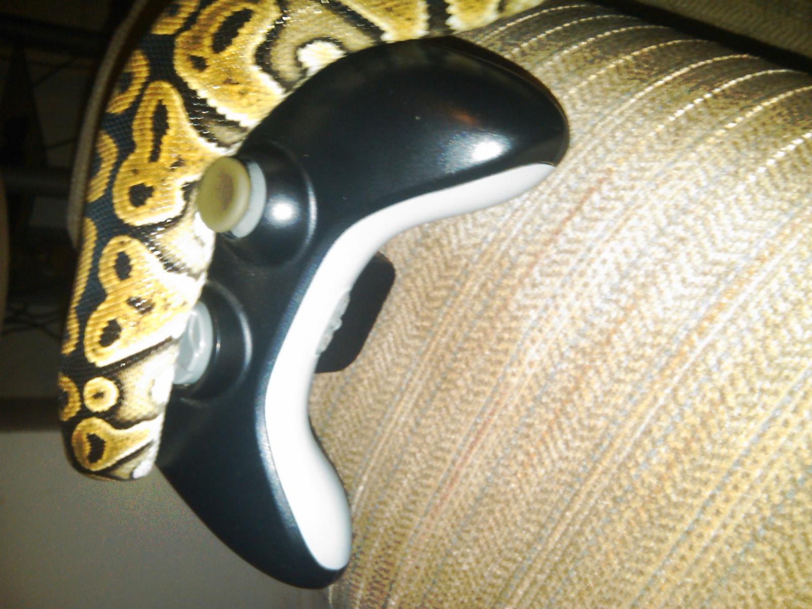 gamer