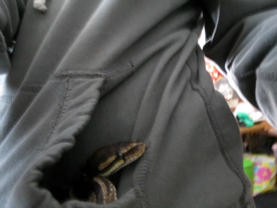 Monty Hiding