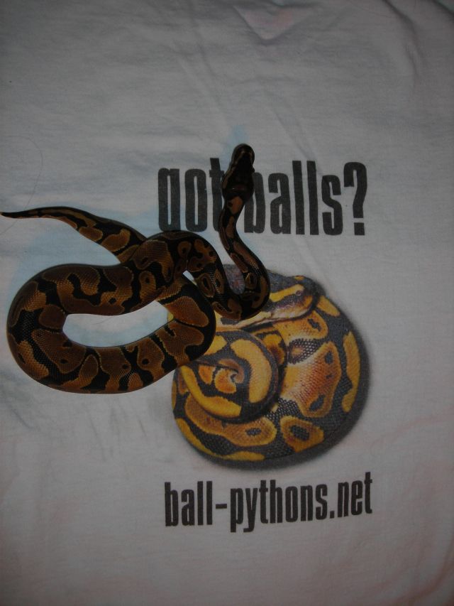 Gambit the snake