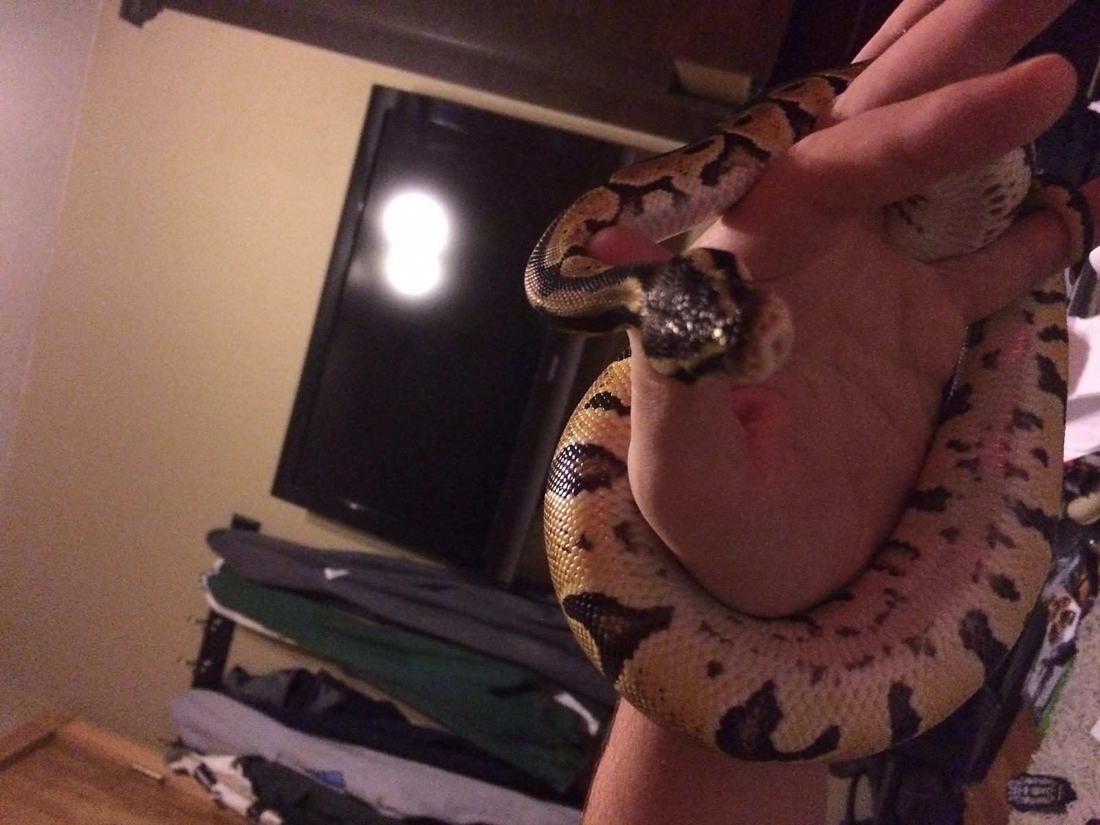 My buddy Kratos