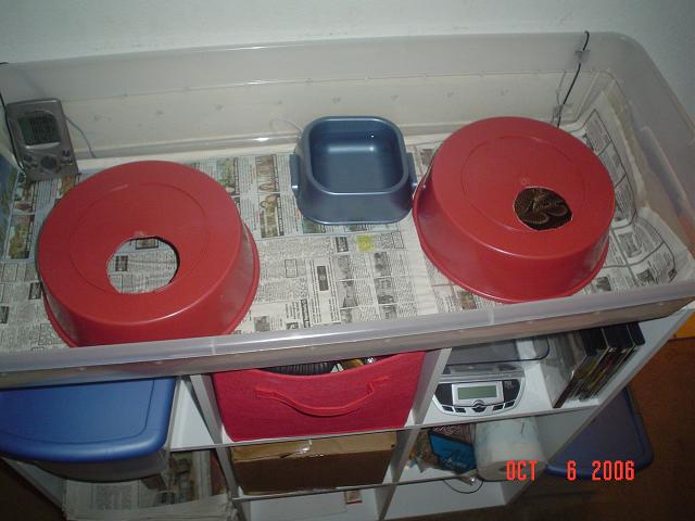tub setup 2